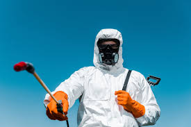 Best Termite Inspection and Treatment  in South Pasadena, FL